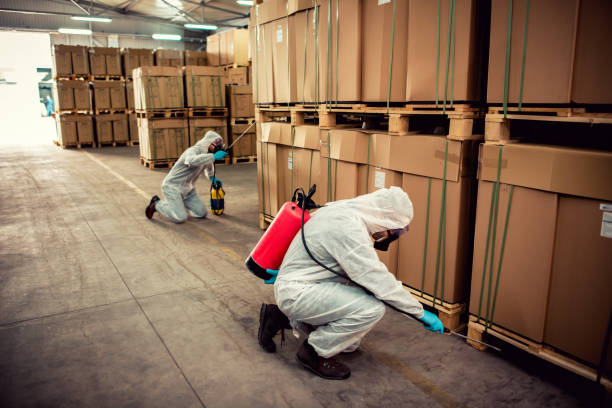 Best Bed Bug Extermination  in Cricket, NC