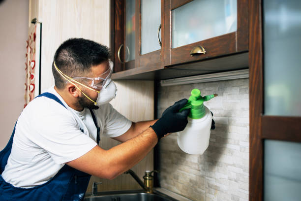 Flea Control Services in Cricket, NC
