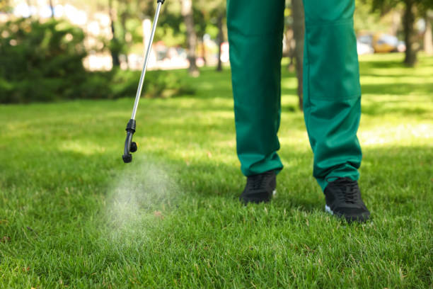 Best Pest Control Near Me  in Cricket, NC