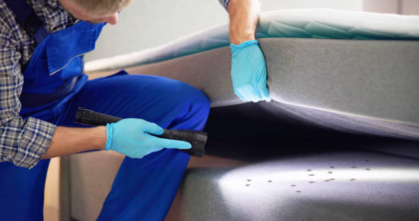 Best Wasp Removal Services  in Cricket, NC