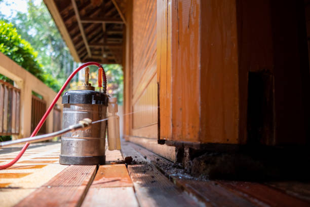 Pest Prevention Services in Cricket, NC