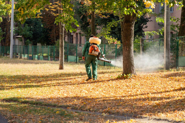 Best Affordable Pest Control Services  in Cricket, NC