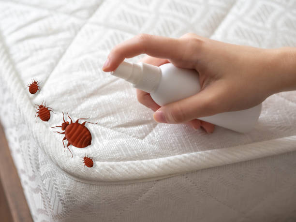 Best Best Pest Control Companies  in Cricket, NC