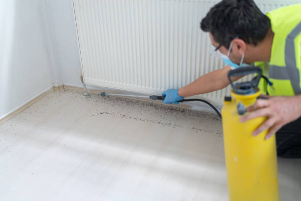 Best Residential Pest Control  in Cricket, NC