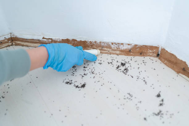 Pest Control Cost in Cricket, NC