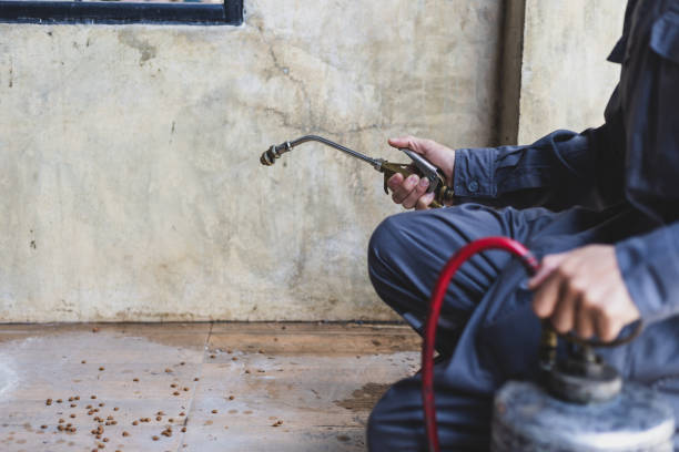 Best Affordable Pest Control Services  in Cricket, NC