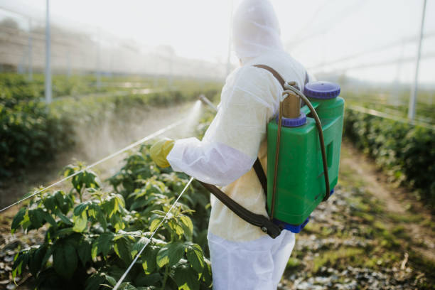 Best Affordable Pest Control Services  in Cricket, NC